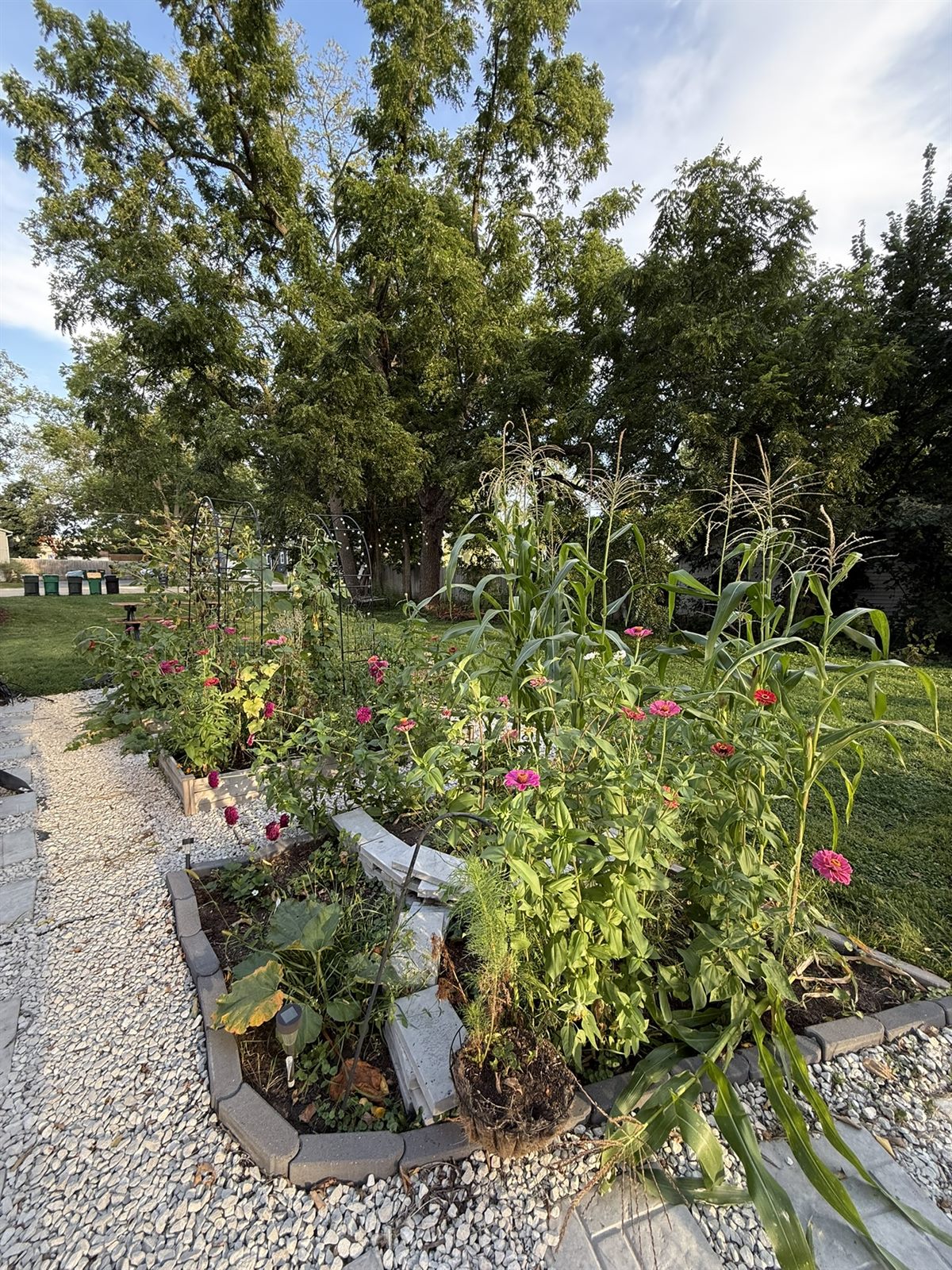 The gardens and shared outdoor spaces at Rose's Village
