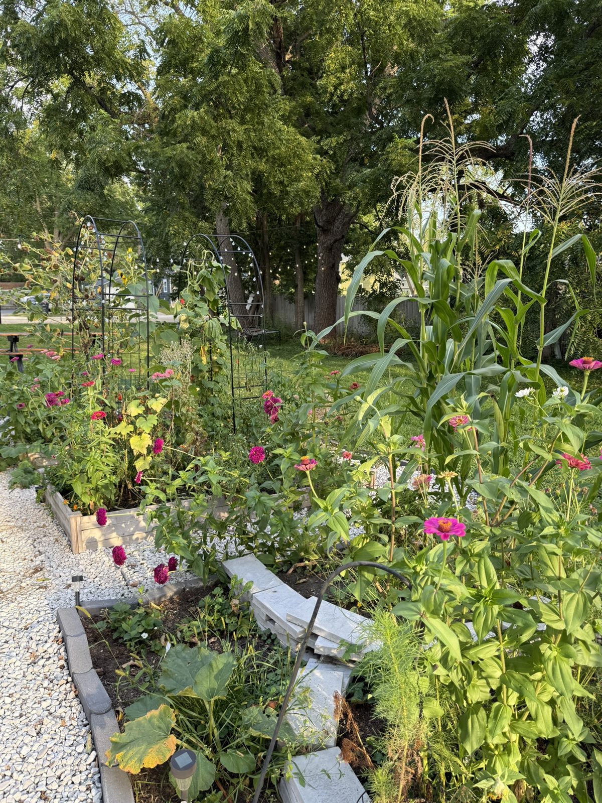 The gardens at Rose's Village, tended by Rose